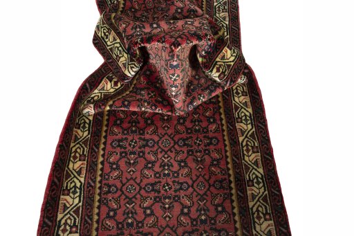 Corner detail of 2000s Hamedan rug showing border pattern and Wool pile