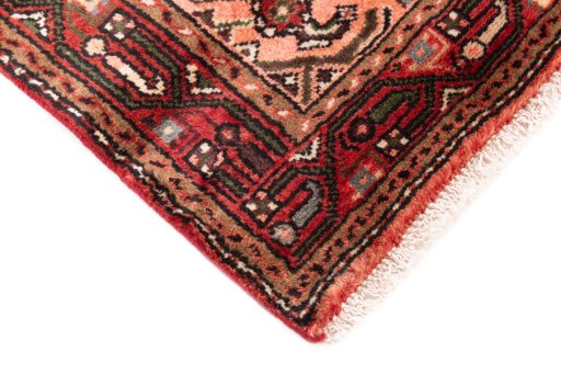 Central medallion detail of 2000s Hamedan rug from Iran / Persia