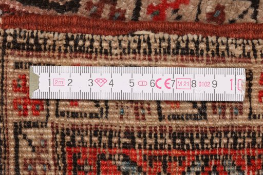 Full view of 1900s Heriz rug from Iran / Persia, 89 × 38 cm in Brown tones