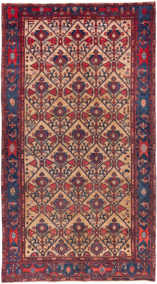 Full view of 1973s Koliai rug from Iran / Persia, 290 × 154 cm in Cream tones