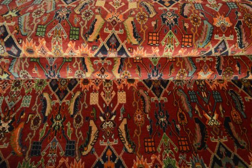 Full view of 2000s Shiraz rug from Iran / Persia, 247 × 161 cm in Red tones