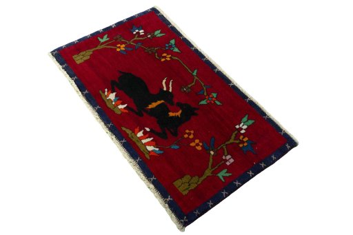 Corner detail of 2000s Shiraz rug showing border pattern and Wool pile