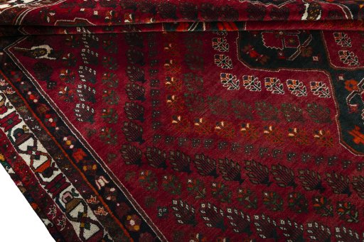 Full view of 2000s Shiraz rug from Iran / Persia, 330 × 228 cm in Red tones