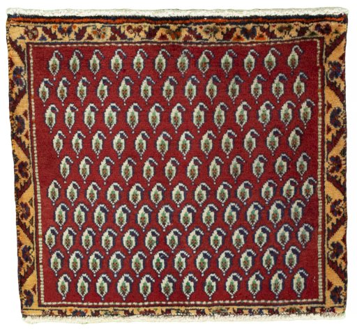 Full view of 2000s Shiraz rug from Iran / Persia, 57 × 52 cm in Red tones