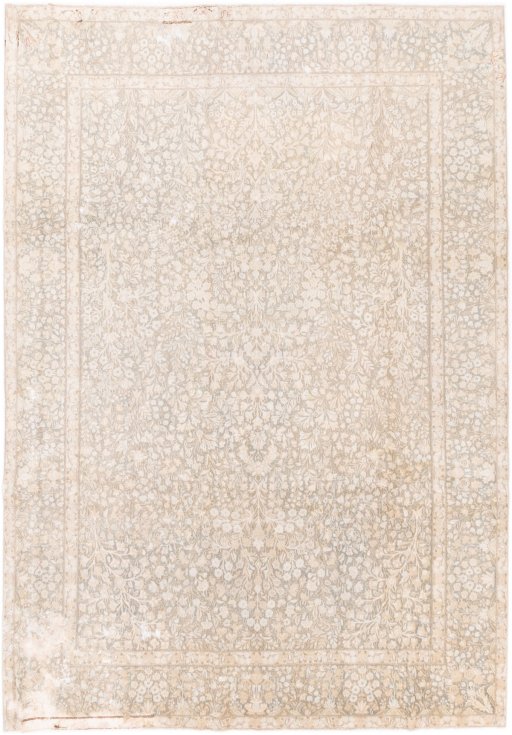 Full view of 1955s Vintage rug from Iran / Persia, 336 × 236 cm in Cream tones