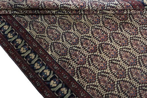 Full view of 1930s Hamedan rug from Iran / Persia, 300 × 174 cm in Beige tones