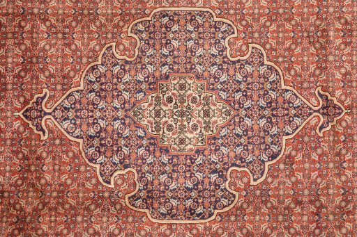 Central medallion detail of 2000s Bijar rug from Iran / Persia