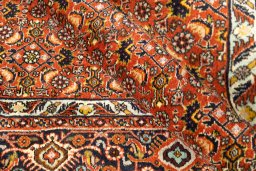 Full view of New Bijar rug from Iran / Persia, 265 × 157 cm in Red tones