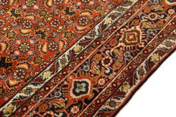 Central medallion detail of New Bijar rug from Iran / Persia