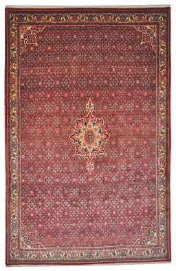 Full view of 1950s Bijar rug from Iran / Persia, 325 × 211 cm in Red tones