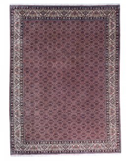 Full view of New Bijar rug from Iran / Persia, 340 × 253 cm in Red tones