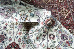 Corner detail of New Bijar rug showing border pattern and Cork pile