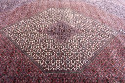 Central medallion detail of New Bijar rug from Iran / Persia