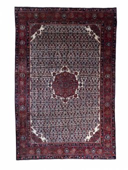Full view of 1970s Bijar rug from Iran / Persia, 349 × 232 cm in Beige tones