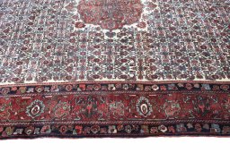 Full view of 1970s Bijar rug from Iran / Persia, 349 × 232 cm in Beige tones