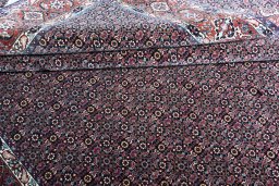 Full view of New Bijar rug from Iran / Persia, 341 × 255 cm in Blue tones