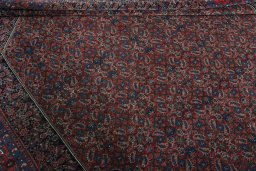 Corner detail of 1930s Bijar rug showing border pattern and Wool pile