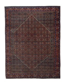 Full view of 1930s Bijar rug from Iran / Persia, 390 × 295 cm in Red tones