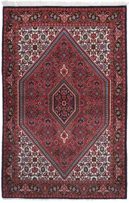 Full view of New Bijar rug from Iran / Persia, 162 × 105 cm in Multi Color tones
