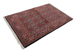 Close-up detail of New Bijar rug from Iran / Persia showing Wool weave