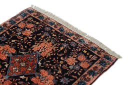 Surface texture of 1920s Bijar rug with natural Wool and intricate pattern