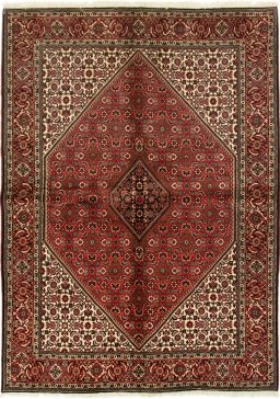 Full view of 2020s Bijar rug from Iran / Persia, 240 × 168 cm in Red tones