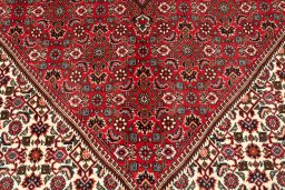 Corner detail of 2020s Bijar rug showing border pattern and Wool pile
