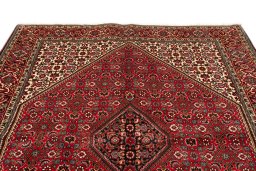 Full view of 2020s Bijar rug from Iran / Persia, 240 × 168 cm in Red tones