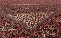 Corner detail of New Bijar rug showing border pattern and Wool pile