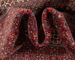 Central medallion detail of New Bijar rug from Iran / Persia