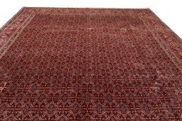 Full view of New Bijar rug from Iran / Persia, 420 × 308 cm in Dark blue tones