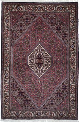 Full view of New Bijar rug from Iran / Persia, 170 × 112 cm in Multi Color tones
