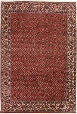 Full view of New Bijar rug from Iran / Persia, 300 × 205 cm in Red tones
