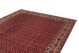 Surface texture of New Bijar rug with natural Wool and intricate pattern