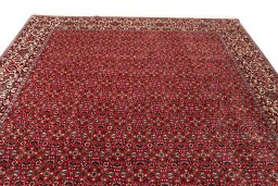 Full view of New Bijar rug from Iran / Persia, 300 × 205 cm in Red tones