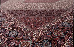 Corner detail of New Bijar rug showing border pattern and Wool pile