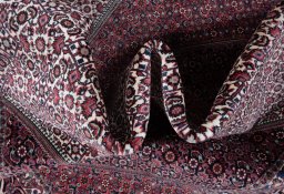 Surface texture of New Bijar rug with natural Wool and intricate pattern
