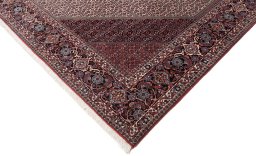 Full view of New Bijar rug from Iran / Persia, 357 × 303 cm in Beige tones
