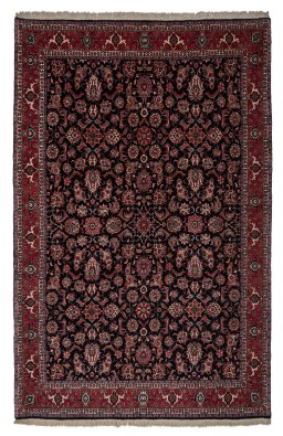 Full view of New Bijar rug from Iran / Persia, 312 × 202 cm in Black tones