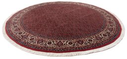 Full view of New Bijar rug from Iran / Persia, 247 × 247 cm in Red tones