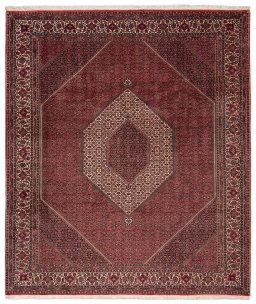 Full view of New Bijar rug from Iran / Persia, 300 × 256 cm in Red tones