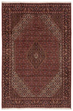 Full view of New Bijar rug from Iran / Persia, 295 × 200 cm in Multi Color tones