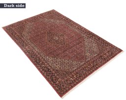 Full view of New Bijar rug from Iran / Persia, 295 × 200 cm in Multi Color tones