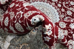 Surface texture of New Nain rug with natural Wool and intricate pattern