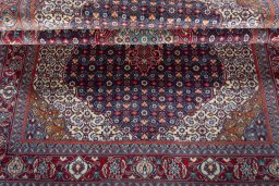 Corner detail of 2000s Sarough rug showing border pattern and Cork pile