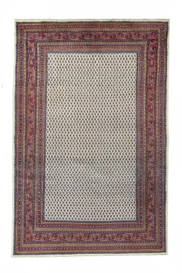 Full view of 2000s Sarough Mir rug from Iran / Persia, 315 × 210 cm in Beige tones