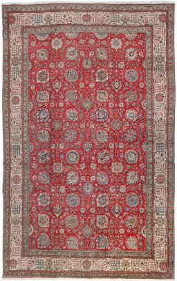 Full view of 1950s Tabriz rug from Iran / Persia, 556 × 350 cm in Red tones