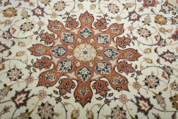 Central medallion detail of New Tabriz 50/60/70 Raj rug from Iran / Persia