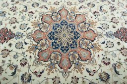 Central medallion detail of 2000s Tabriz 50/60/70 Raj rug from Iran / Persia