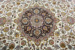 Central medallion detail of 2000s Tabriz 50/60/70 Raj rug from Iran / Persia